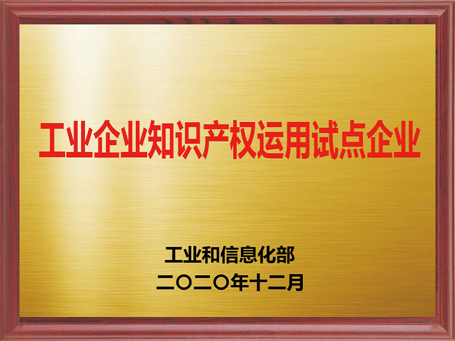 5-工業企業知識產權運用試點企業5.jpg