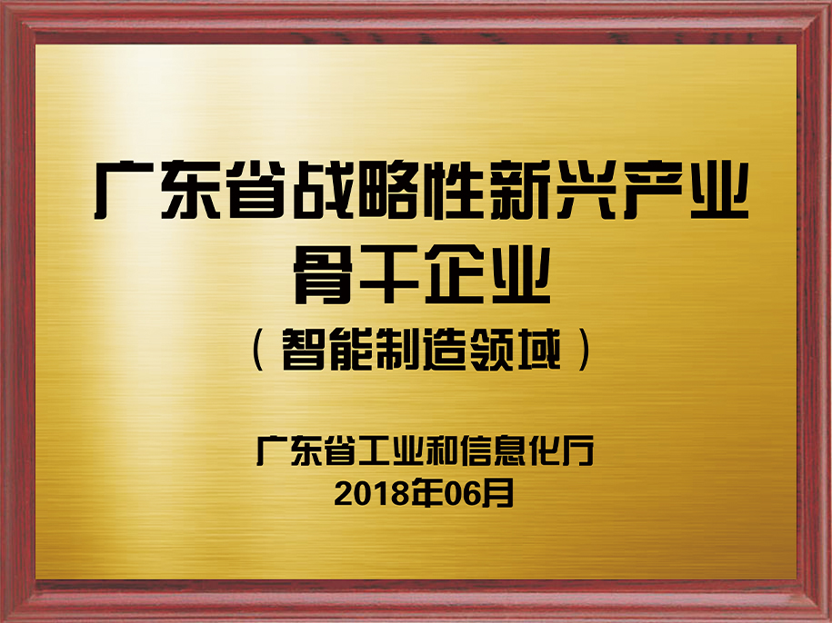 13-廣東省戰略性新興產業骨干企業（智能制造領域）1.jpg